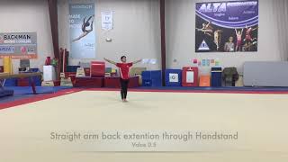 Elite 2 Floor Routine Canada Gymnastics