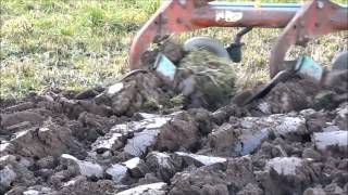 Ploughing with Ford 7610 [HD]