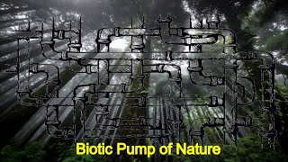 What is the BIOTIC PUMP of Ecosystem | Biotic Pump of Nature | Ecology Biodiversity | global warming