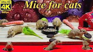 Mouse for Cats to Watch -  Mice in the Jerry Mouse Hole 🐭Videos for Cats |  CAT & DOG TV