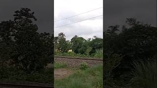 Crossing the nature ❤💕 #shorts #nature #reels #railway