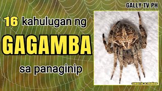 16 kahulugan ng GAGAMBA sa panaginip #gagambasapanaginip #kahulugannggagambasapanaginip