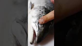 How to fillet a Whole Norvegia Salmon #shorts #salmon