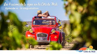 Les 4 saisons de la vigne sur la Côte du Midi - la dégustation