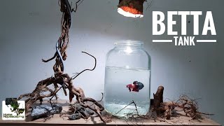 BETTA Fish | HardScape|Membuat Aquascape|水草造景