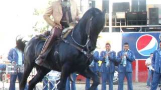 Campeonato Nacional de Caballos Bailadores de la Expo Ganadera Jalisco 2010