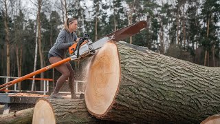 Extreme Dangerous Fastest Big Chainsaw Cutting Tree Machines - Dangerous Heavy Equipment Machines#2