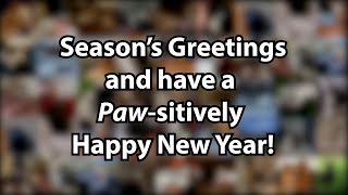 Have a Paw-sitively Happy New Year!