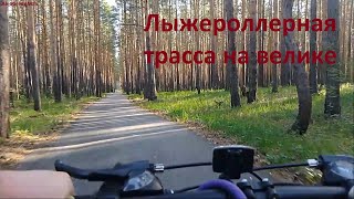 Лыжероллерная трасса на велике