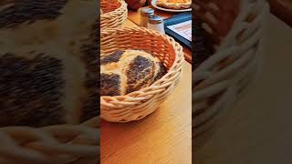 Bäcker Görtz Heidelberg Breakfast Vlog #foodfashionista #bakery #heidelberg