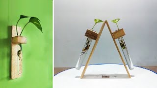 Test Tube Wall Planter | DIY Plant Propagation