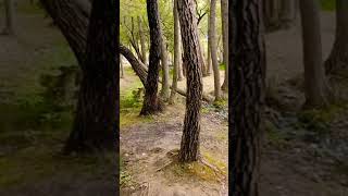 Natural Beauty || Nature Is So Beautiful ||#youtube #youtubeshorts #ytshort