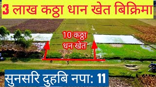 Dhan khet\3 lakh kattha\Sunasari\Duhabi 11\Itahari ghar jagga\Dharan ghar jagga\East nepal real est