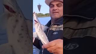 PESCA EN COSTANERA MUNICIPAL DE SAN FERNANDO 🎣▶️📽️