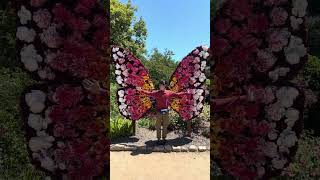 BLOOM! and SOAR at South Coast Botanic Garden (vertical bonus footage)