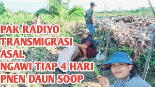 BAHAGIA WARGA TRANSMIGRASI SAAT BERKUMPUL SALING BANTU