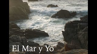 El Mar y Yo - Quieres Tocar family music session Episode 2