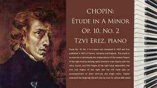 CHOPIN: Étude in A Minor, Op. 10, No. 2 "Chromatic" | Tzvi Erez | (2 of 24)