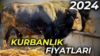 YOK BÖYLE BİR DANA | TÜRKİYE'nin EN UCUZ HAYVAN PAZARI