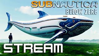 SUBNAUTICA BELOW ZERO - Díl 9,6 - Průzkum Vraku - Nakashi (Pár Novinek)