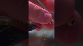 The Squiggle Butt in Light Green #flytying #timelapse #shorts #flyfishing #fishing