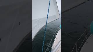 slow sailing a foggy New England day, 4kts SOG, 36NM to go #sailboats #sailingfamily #sailing