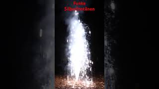 Funke Silberfontänen #shorts #fireworks #short #shortvideo #firework