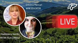 YT LIVE - Degustazione vini del Trentino - Cantina Villa Corniole