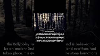 The Balleyboley Forest🥀....#darkmagic #magic #witch #horror #cursed #witchcraft #blackmagic #dark