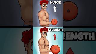 Does Muscle Size Equal Strength?