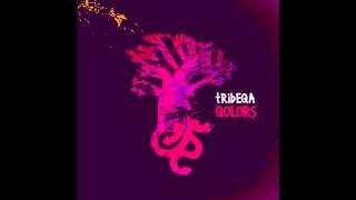 Tribeqa - Groove Band