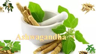 Health Benefits of Ashwagandha 💚