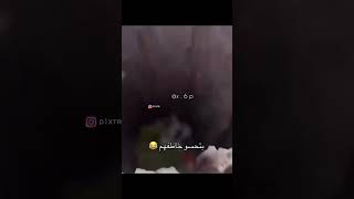 يقول مياو عشان يبعد الشبهات 😂