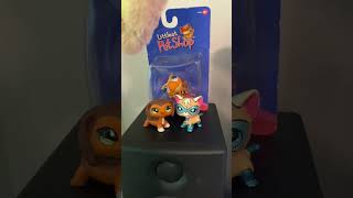 My laugh at the end 😭🐾 #puppyclip #lps #lpscollector #littlestpetshop #lpstube #toycollector