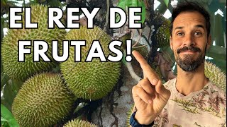 La Fruta Más EXÓTICA llegó a Costa Rica - El Rey de Frutas