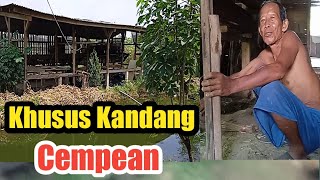 Special.... Kandang Cempe-Cempe