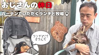 【犬連れカフェ&牧場】青梅市「アイムホーム」さんでランチして「ウエストランドファーム(清水牧場)」さんでソフトクリーム🍦ペットショップの売れ残りと元保護犬とお出かけ