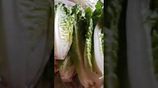 Fresh lettuce #good for #health #fresh #lettuce #nice #asmr #trendinvidio