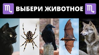 Тест для Скорпионов! | Узнай свою тёмную сторону!