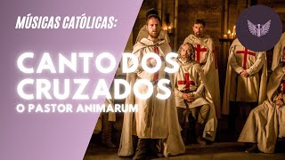 MÚSICA: Canto dos Cruzados - O Pastor Animarum