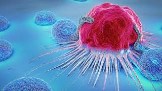 Scientists discover new drugs with potential to treat stubborn cancers