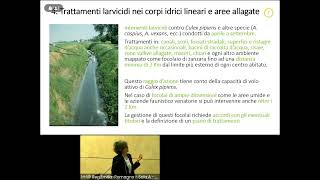 Monica Soracase | Piano comunale per la gestione dei vettori di arbovirosi