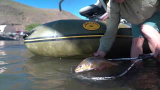 A Nice Brown Trout fly fishing from the Water Master Bruin!