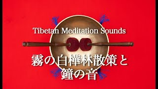 魅惑的なチベットの鐘の音. 幻想的な霧の白樺林. Tibetan Singing Bowl Sounds & The Habitat of White Birch.