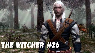 ГДЕ КВЕСТЫ?! (Прохождение The Witcher #26)