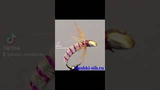 Mushki-sib.ru #рыбалка #хариус #fishing