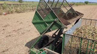 Sugarcane loading machine / sugarcane loaded tractor Harvester Infielder