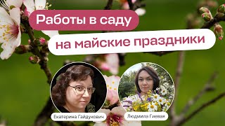 Работы в саду на майские праздники | Прямой эфир школы «Умный садовник»