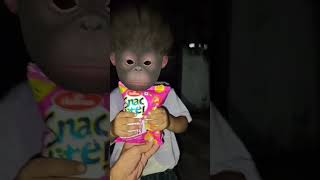 bala bala  monkey baby funny video 🐵🍌🍟🍭🍫🍼🤣😅😂#monkey #shortsfeed #funny  #monkeybaby #aaryavnaagar