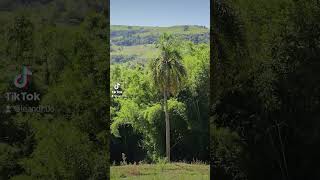 vista das 3 pedras